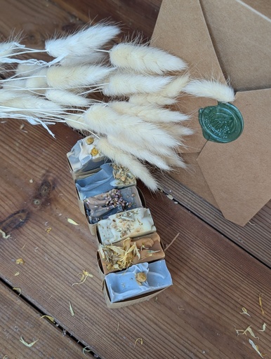 Coffret- La petite découverte - Les 6 minis